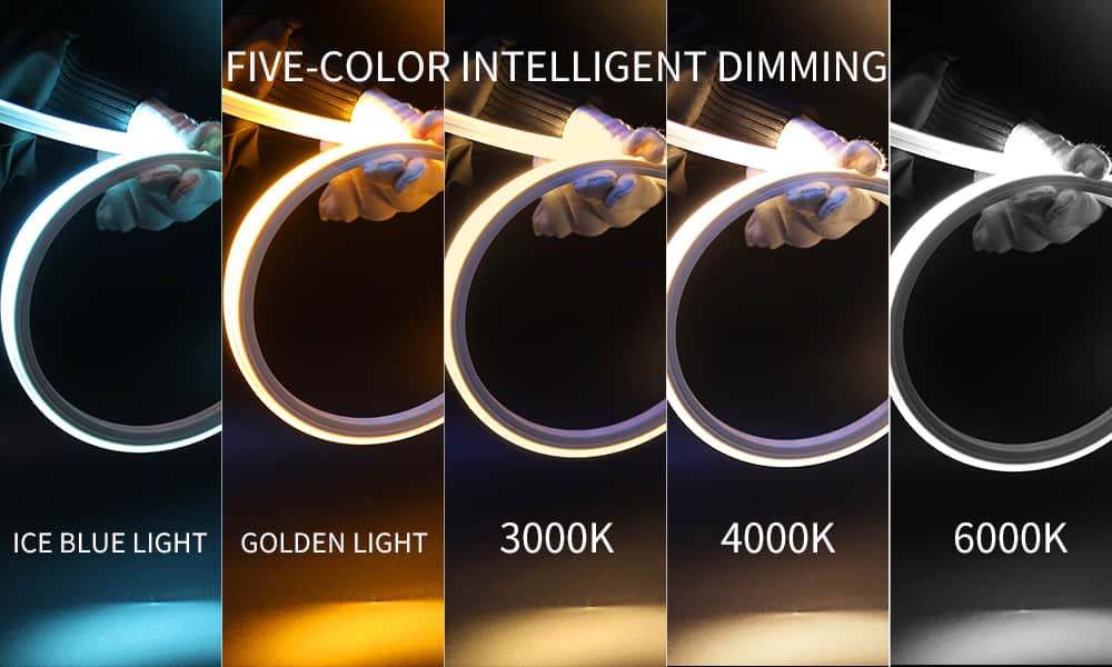 1010 Integrated Front-Emitting Extrusion