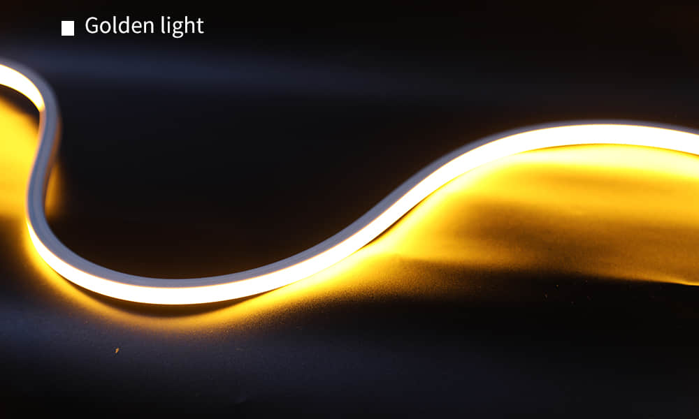 1010 Integrated Front-Emitting Extrusion