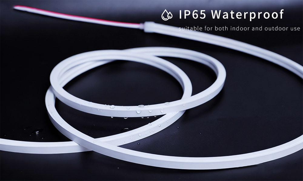 1010 Five-Color Dynamic Lighting.
