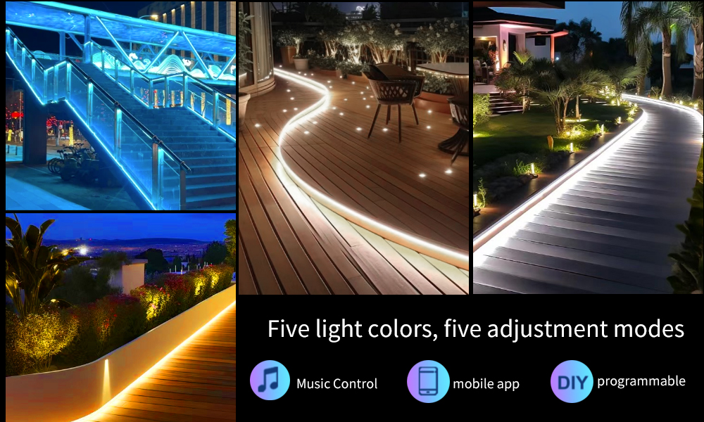 1010 Five-Color Dynamic Lighting.