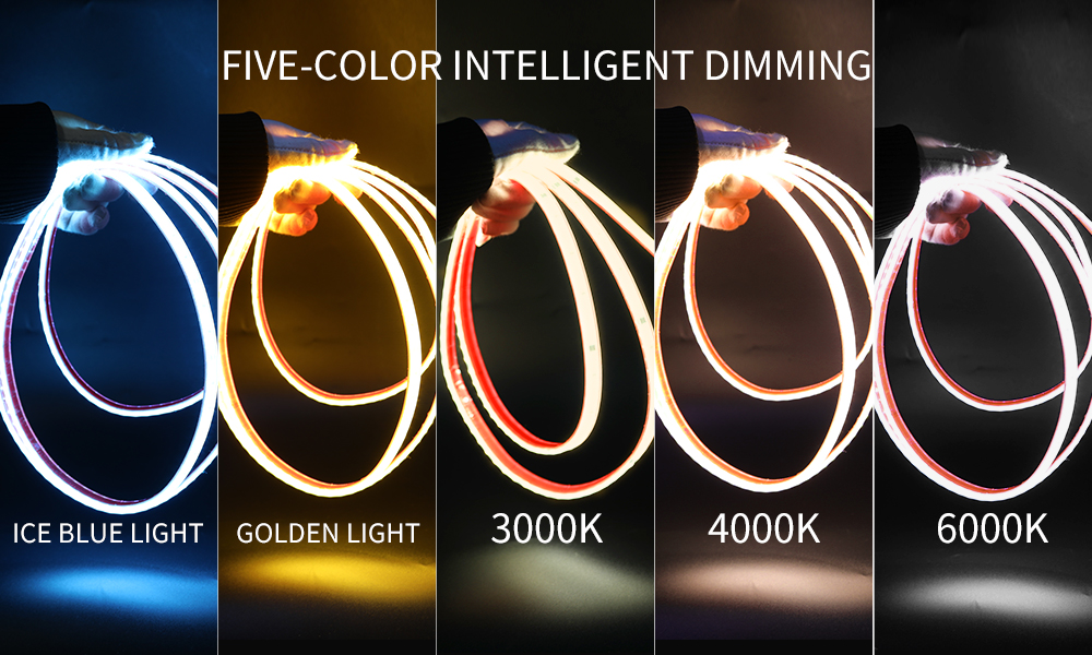 Waterproof Five-Color Dynamic Lighting